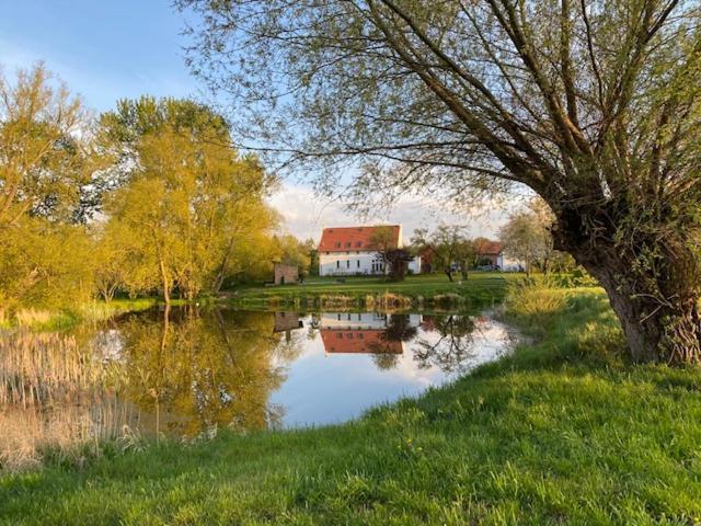 Traumhaftes Luxus-Ferienhaus Warnkenhagen  Екстер'єр фото